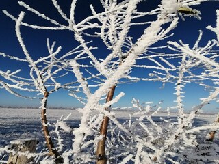 Appartamento Pepelow  33