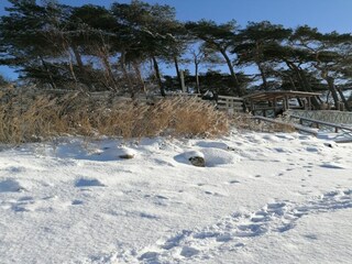 Appartamento Pepelow  29