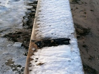 Appartement Pepelow  31