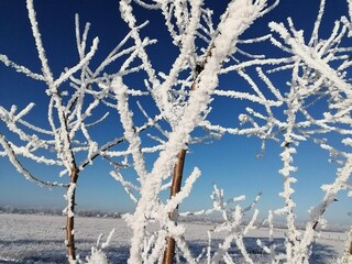 Appartamento Pepelow Ambiente 31