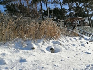 Appartement Pepelow Omgeving 28