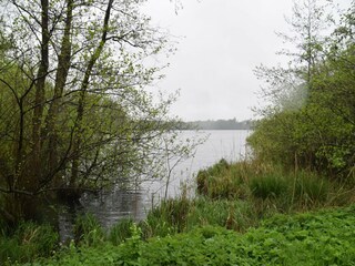 Apartment Eutin Outdoor Recording 13