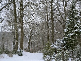Appartement Eutin Buitenaudio-opname 2