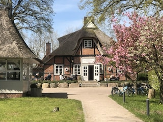 Apartment Eutin Umgebung 36