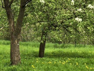 Appartement Eutin Environnement 31
