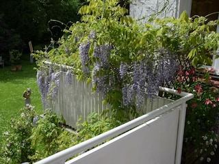 Apartment Eutin Außenaufnahme 2