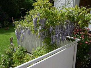 Appartamento Eutin Registrazione all'aperto 9