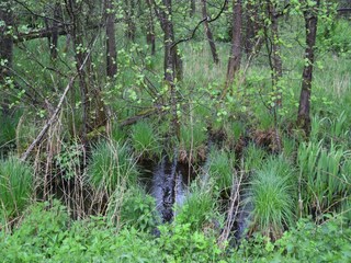 Appartement Eutin Buitenaudio-opname 7