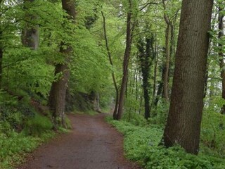 Apartamento Eutin Entorno 40