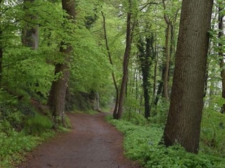 Apartment Eutin Umgebung 38