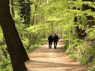 Appartement Eutin Environnement 41