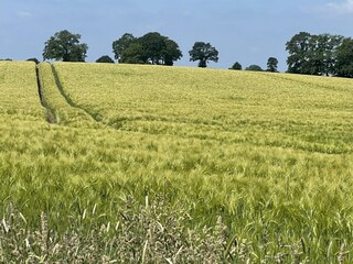 Apartamento Eutin  69