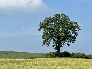 Appartamento Eutin  53