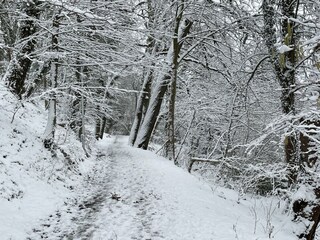 Appartement Eutin  63