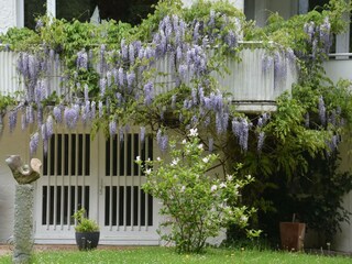 Apartamento Eutin Grabación al aire libre 15