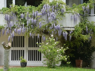 Appartement Eutin Buitenaudio-opname 15