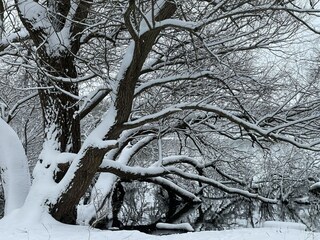 Apartamento Eutin  60