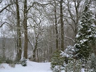 Apartment Eutin Outdoor Recording 15