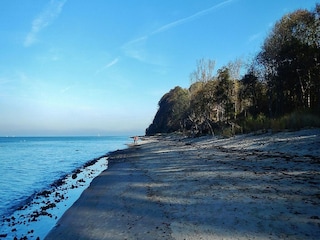 Maison de vacances Groß Schwansee Environnement 24