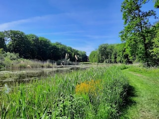 Vakantiehuis Groß Schwansee Omgeving 30