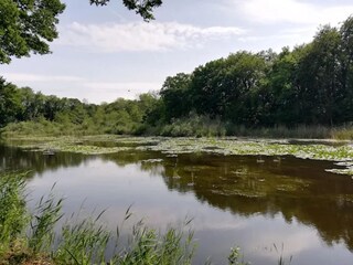 Vakantiehuis Groß Schwansee Omgeving 32