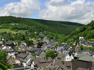 Apartment Willingen Umgebung 23