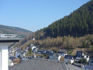 Appartement Willingen Buitenaudio-opname 7