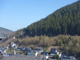 Appartement Willingen Omgeving 25