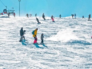 Appartement Willingen Omgeving 28