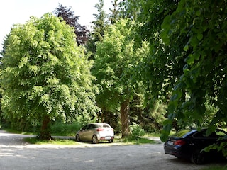 Ferienhaus Elbingerode Außenaufnahme 3