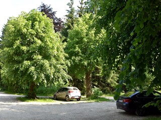 Maison de vacances Elbingerode Enregistrement extérieur 3