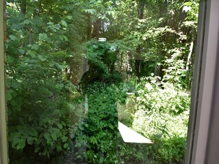 Ferienhaus Elbingerode Außenaufnahme 7