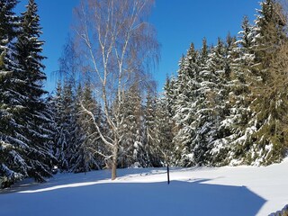 Appartement Benneckenstein Environnement 40