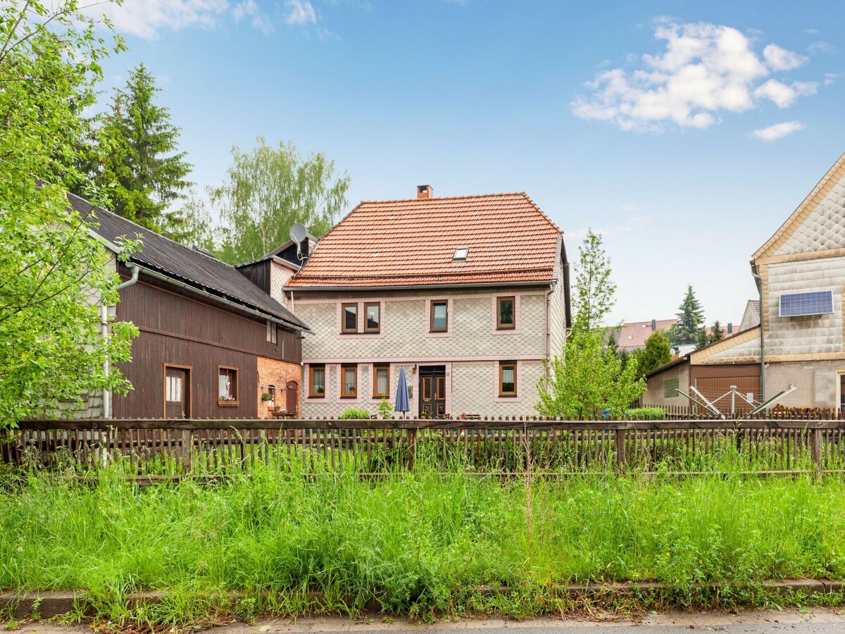 Apartment Benneckenstein Außenaufnahme 8