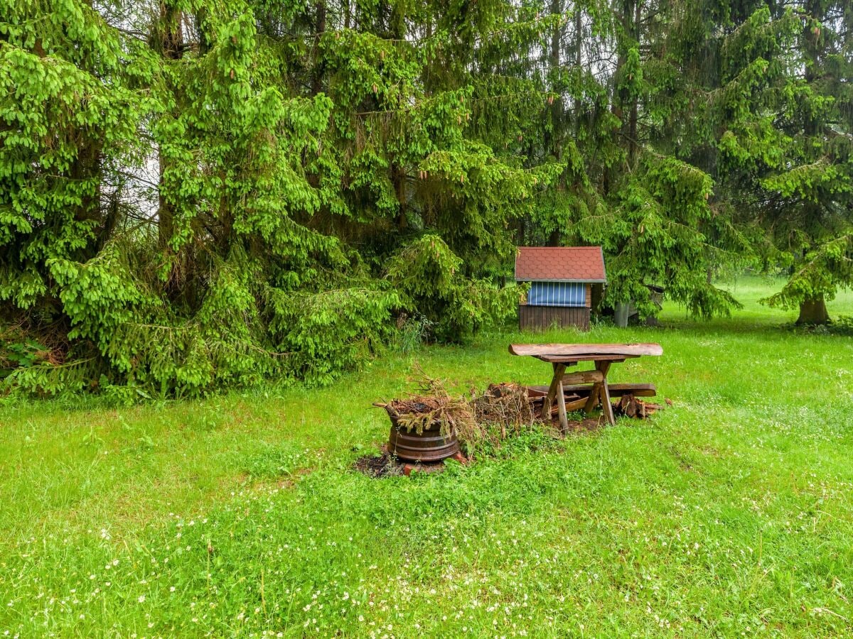 Apartment Benneckenstein Außenaufnahme 14