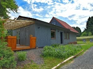 Vrijstaand vakantiehuis in Oberharz am Brocken met terras - Hasselfelde - image1