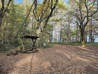 Apartment Warnow bei Grevesmühlen Umgebung 33