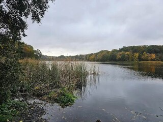 Appartement Warnow bei Grevesmühlen Environnement 26