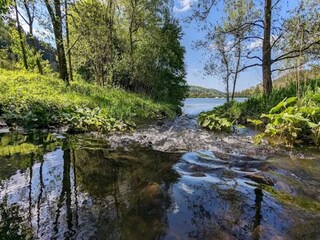 Apartamento Olsberg Entorno 20