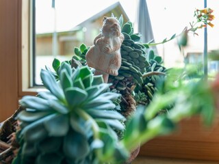Appartement Wildsteig  37