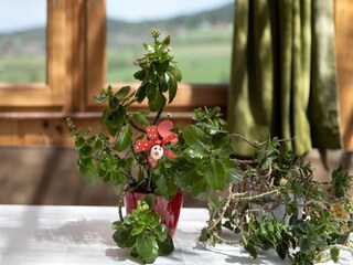 Casa per le vacanze Bad Kötzting  37