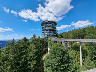 Appartement Viechtach Environnement 33