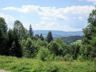 Appartement Viechtach Environnement 30