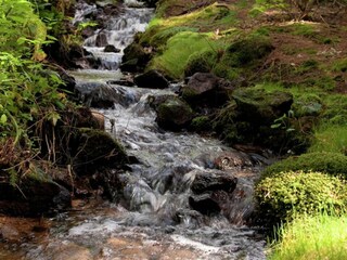 Apartment Viechtach Umgebung 37