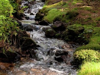 Appartement Viechtach Environnement 37