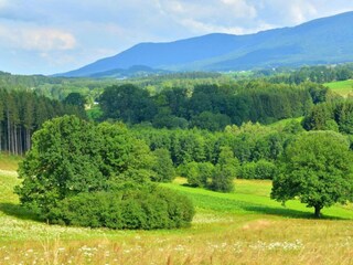 Appartement Drachselsried Omgeving 25