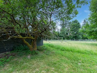 Vakantiehuis Friedrichshöhe (Sachsenbrunn) Omgeving 21