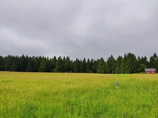 Maison de vacances Friedrichshöhe (Sachsenbrunn) Environnement 23