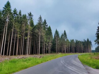 Vakantiehuis Friedrichshöhe (Sachsenbrunn) Omgeving 33