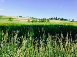 Appartamento Friedrichshöhe (Sachsenbrunn) Ambiente 26